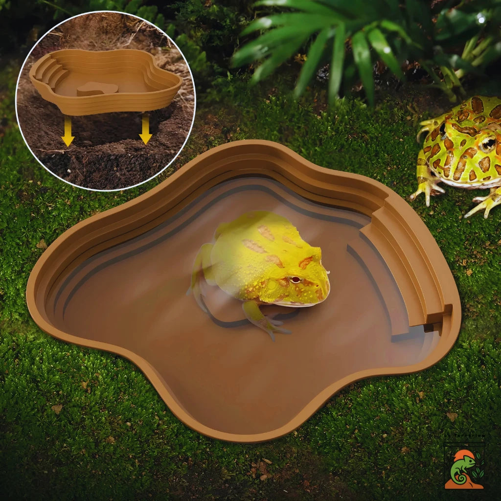 Bassin Solide pour Terrarium – Point d’Eau Naturel & Polyvalent 