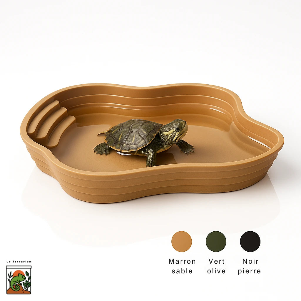 Bassin Solide pour Terrarium – Point d’Eau Naturel & Polyvalent 