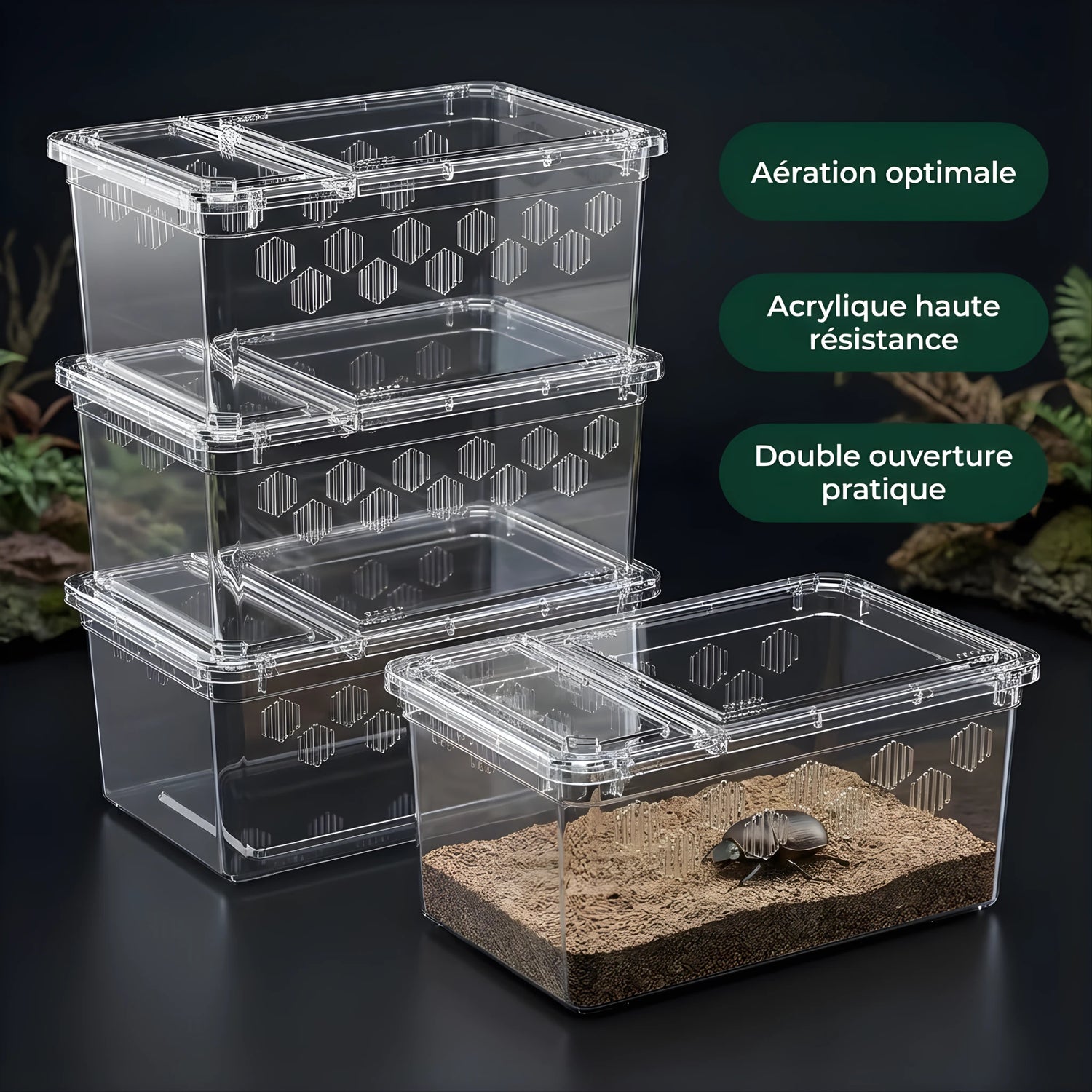 Boîte d’Élevage Transparente pour Reptiles – Lot de 4 