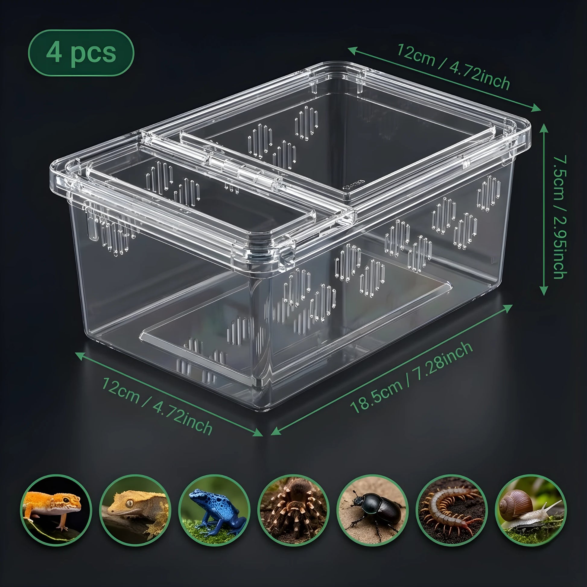Boîte d’Élevage Transparente pour Reptiles – Lot de 4 
