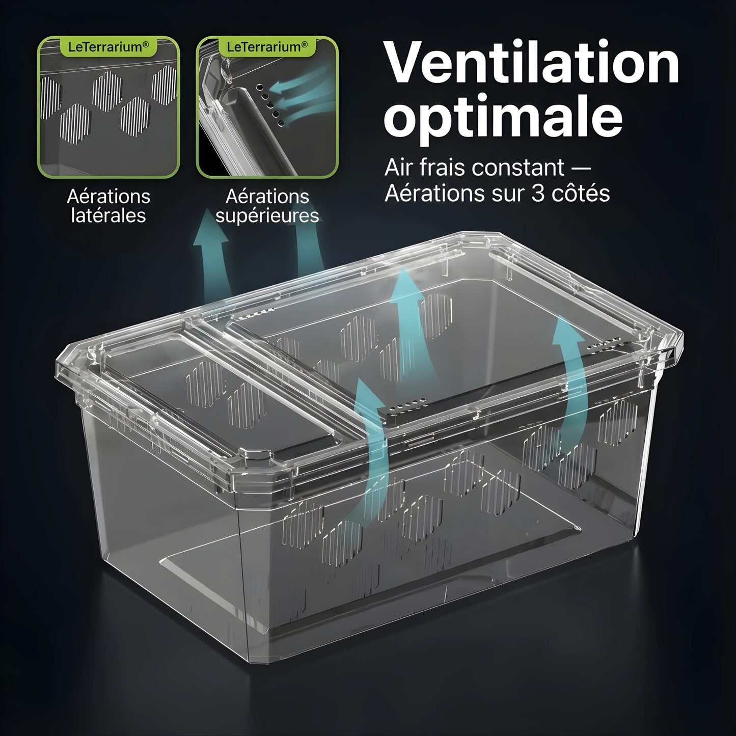 Boîte d’Élevage Transparente pour Reptiles – Lot de 4 