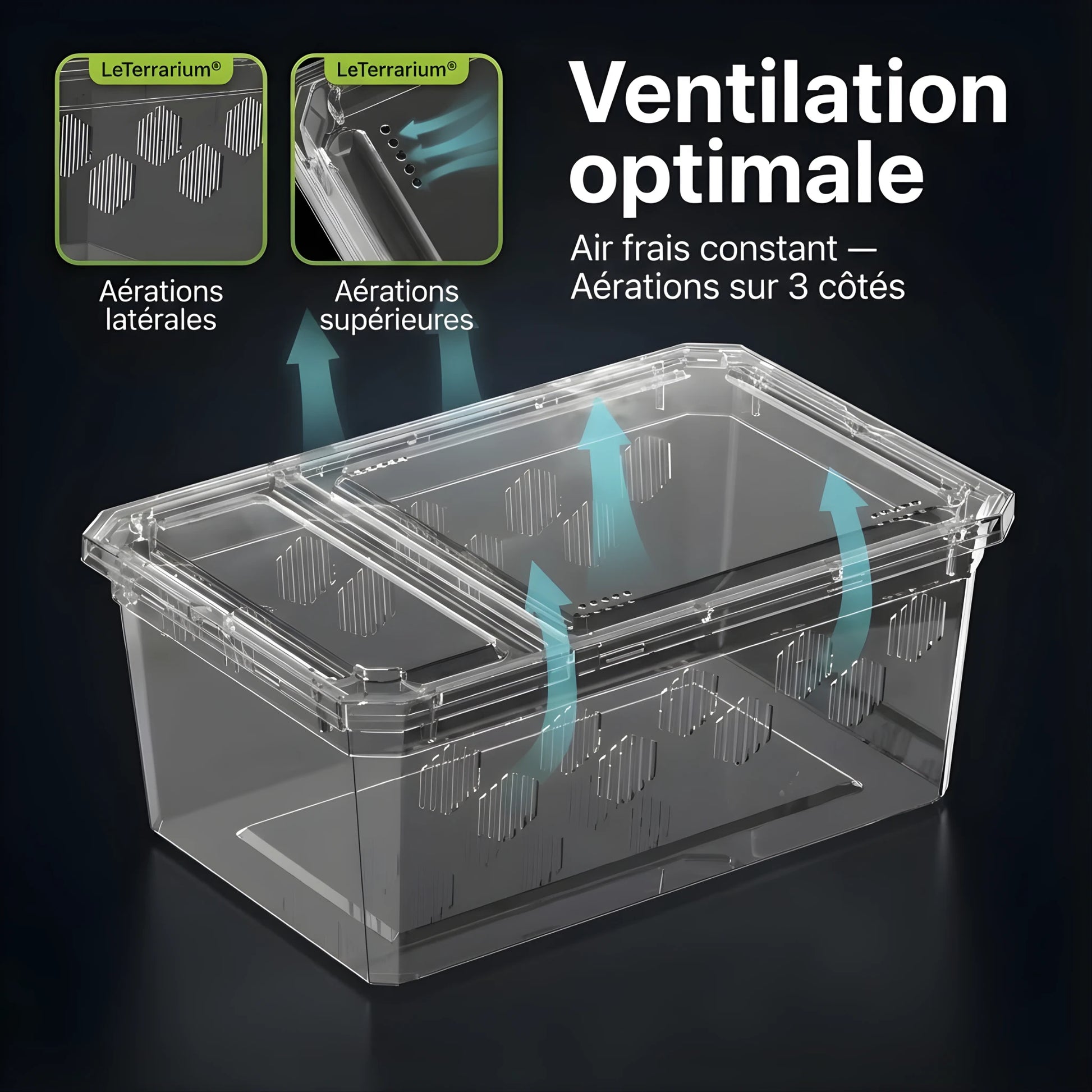 Boîte d’Élevage Transparente pour Reptiles – Lot de 4 