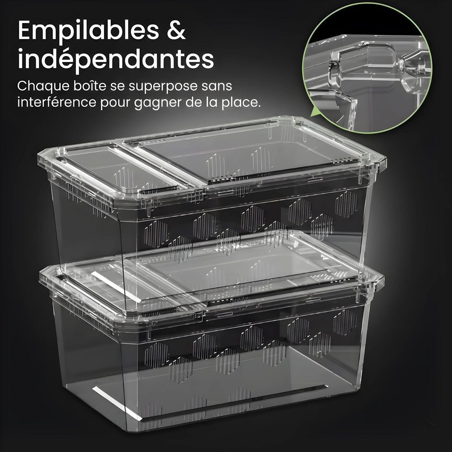 Boîte d’Élevage Transparente pour Reptiles – Lot de 4 