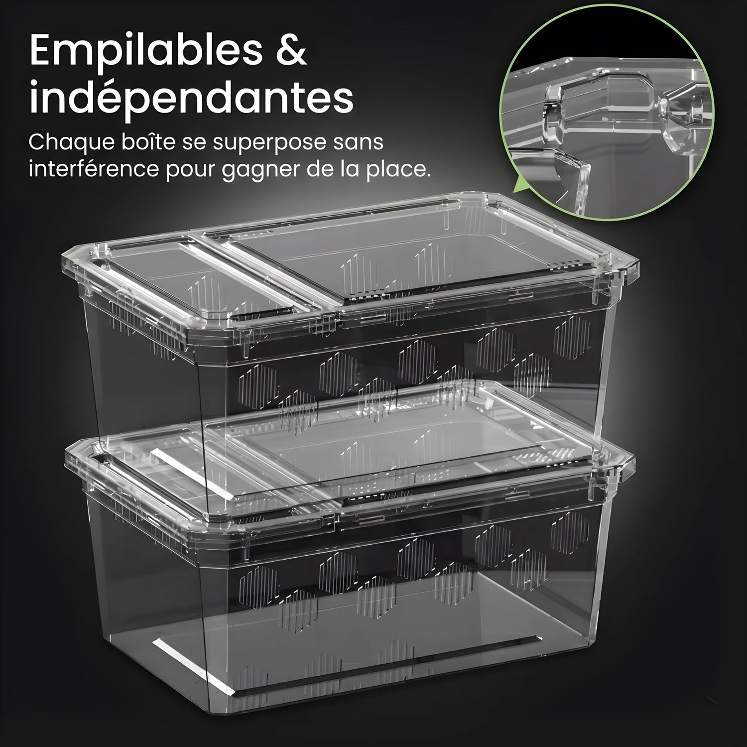 Boîte d’Élevage Transparente pour Reptiles – Lot de 4 