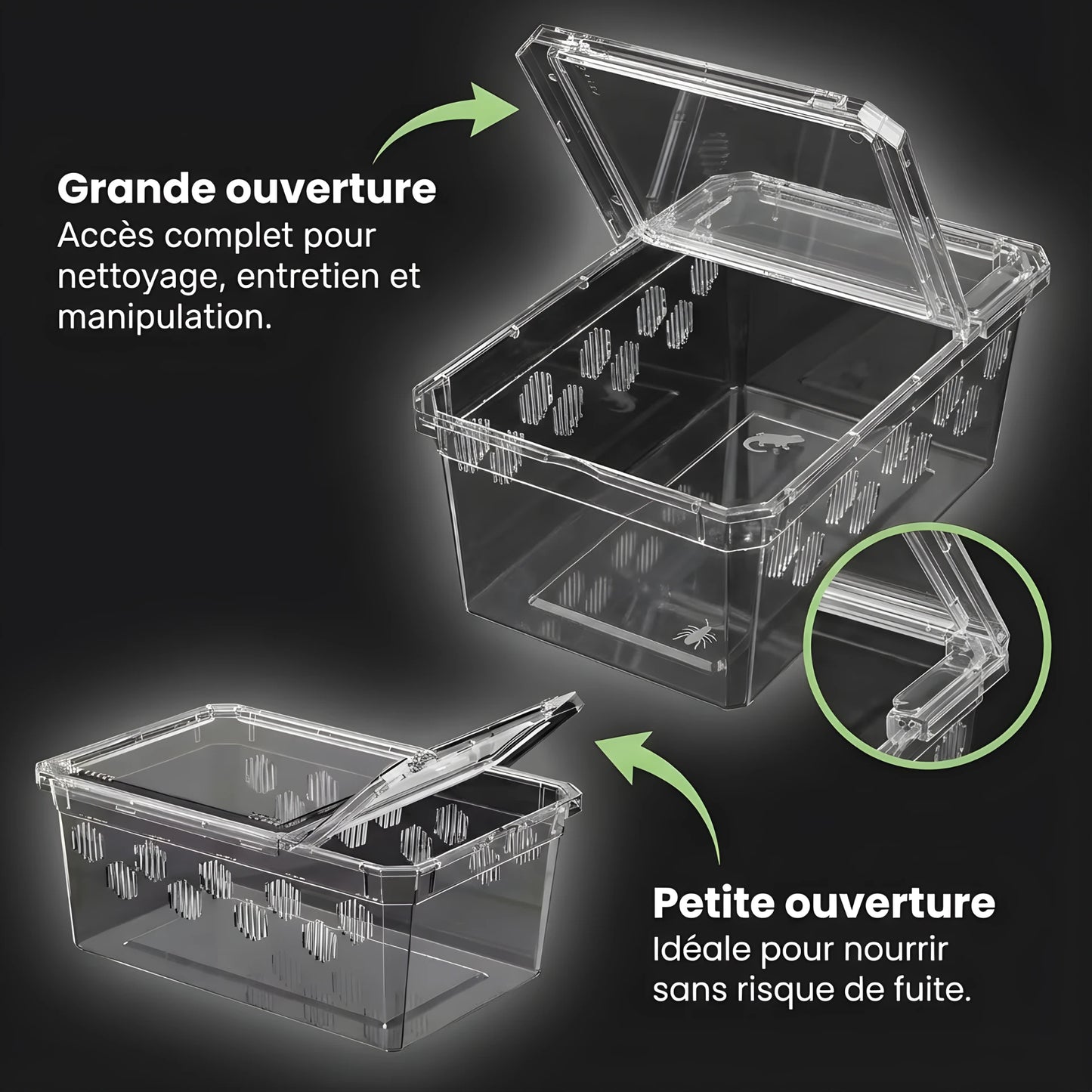 Boîte d’Élevage Transparente pour Reptiles – Lot de 4 