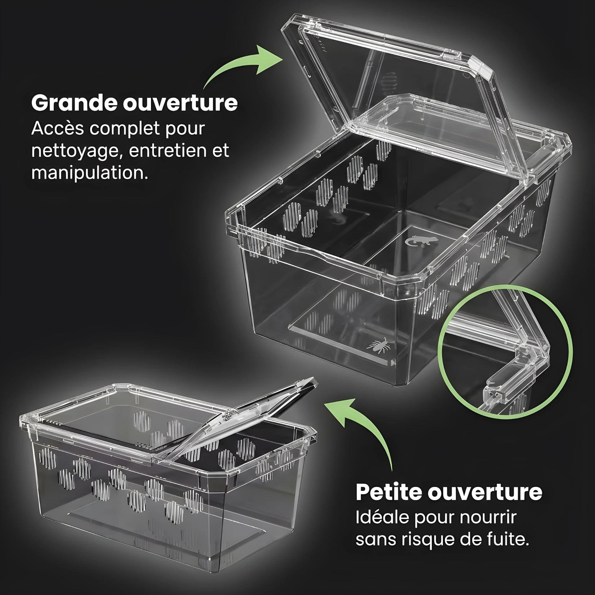 Boîte d’Élevage Transparente pour Reptiles – Lot de 4 
