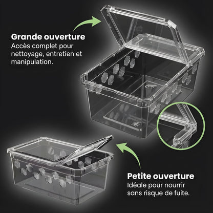Boîte d’Élevage Transparente pour Reptiles – Lot de 4 