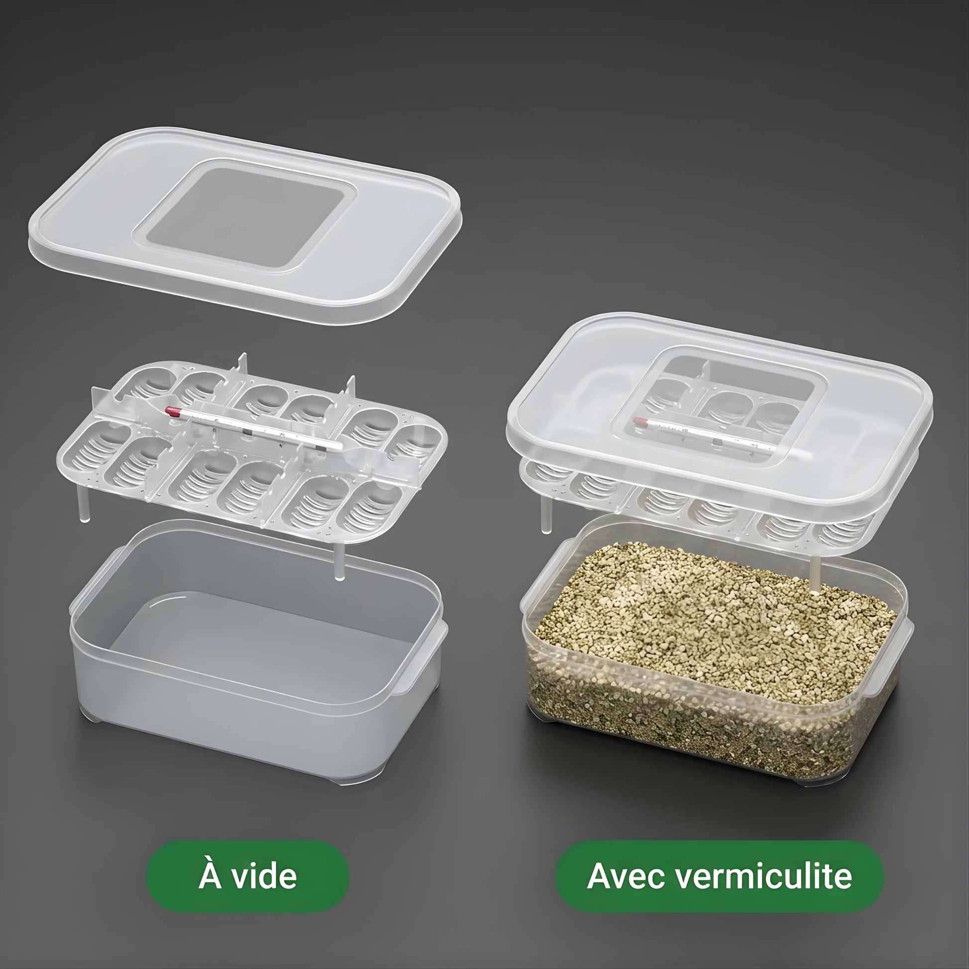 Boîte d’Incubation Terrarium à 12 Grilles 