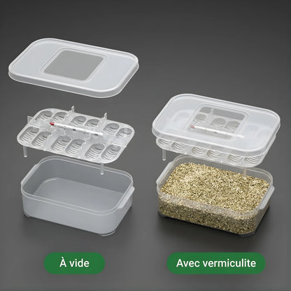 Boîte d’Incubation Terrarium à 12 Grilles 