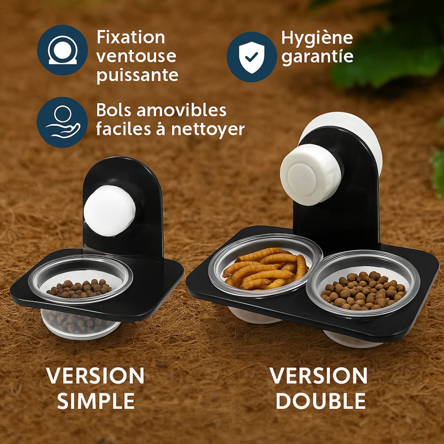 Bol d’Alimentation Terrarium – Simple ou Double avec Ventouse 