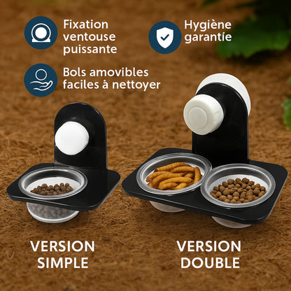Bol d’Alimentation Terrarium – Simple ou Double avec Ventouse 