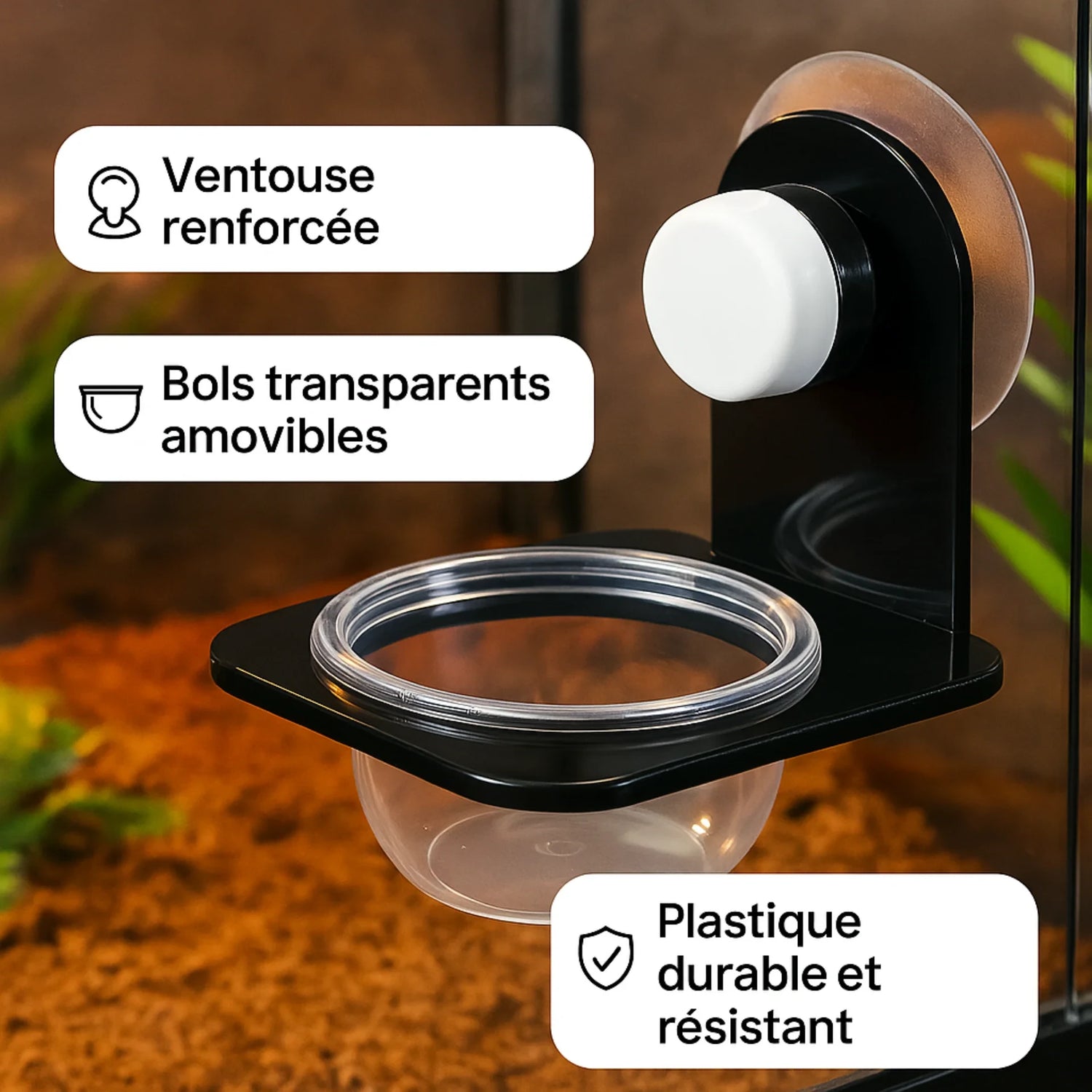 Bol d’Alimentation Terrarium – Simple ou Double avec Ventouse 