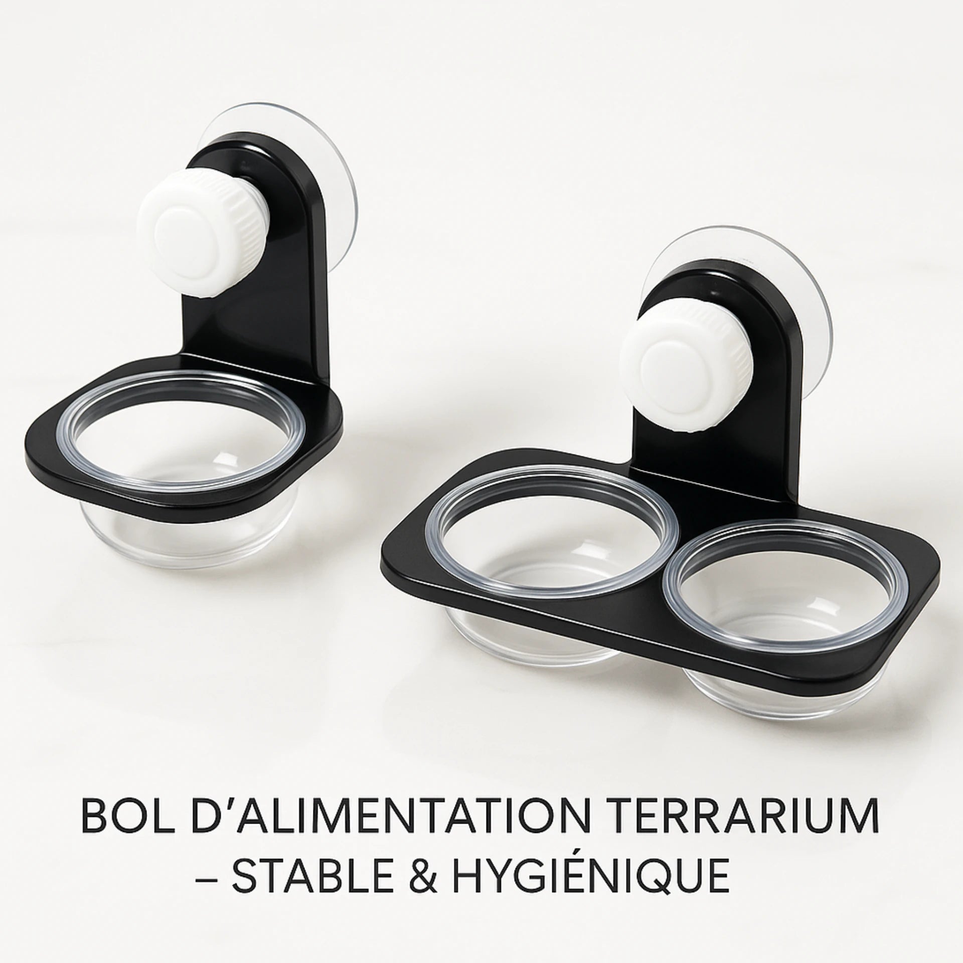 Bol d’Alimentation Terrarium – Simple ou Double avec Ventouse 