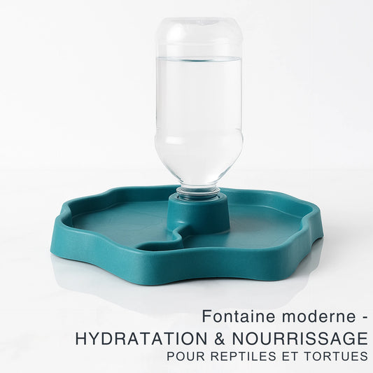 Bol d’Alimentation pour Reptiles et Amphibiens – Fontaine Moderne 