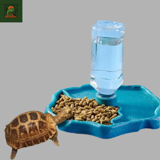 Bol d’Alimentation pour Reptiles et Amphibiens 
