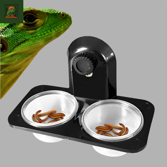 Bol d’Alimentation pour Terrarium 