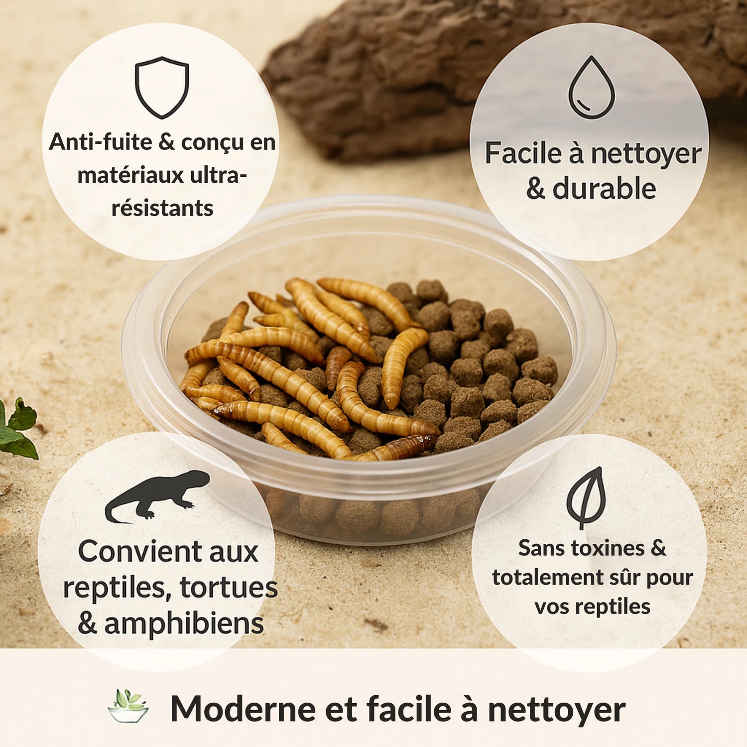 Bol de Nourrissage Anti-Fuite pour Reptiles 