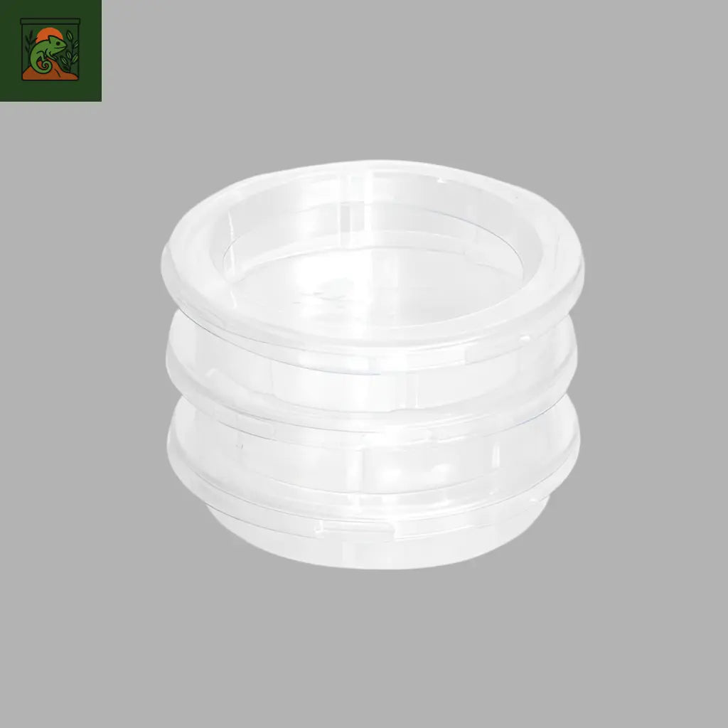 Bol de Nourrissage Anti-Fuite pour Reptiles 
