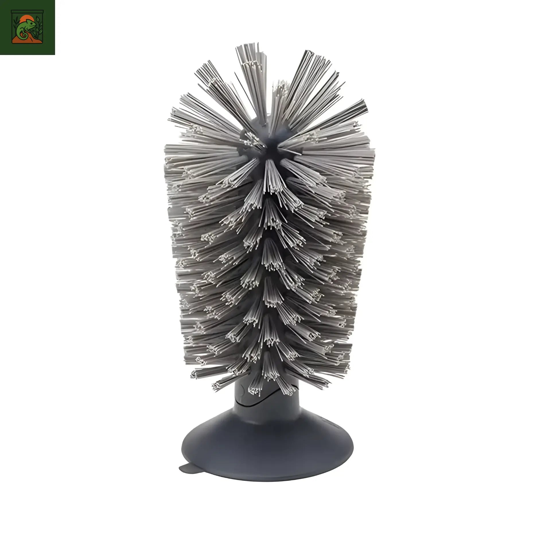 Brosse pour tortue  – Outil d’Exfoliation Terrarium pour carapace 