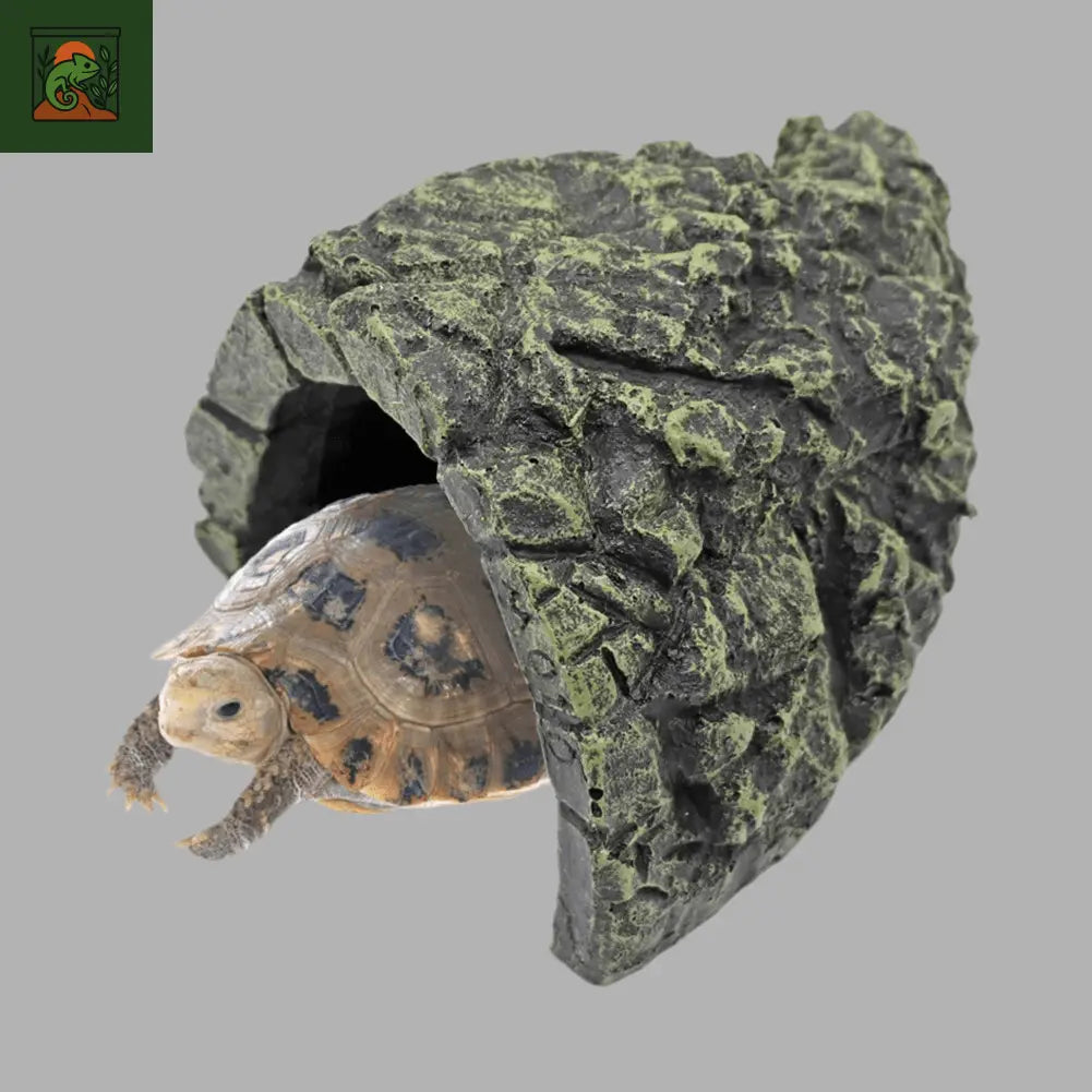 Cachette Terrarium  – Grotte Décorative - LeTerrarium
