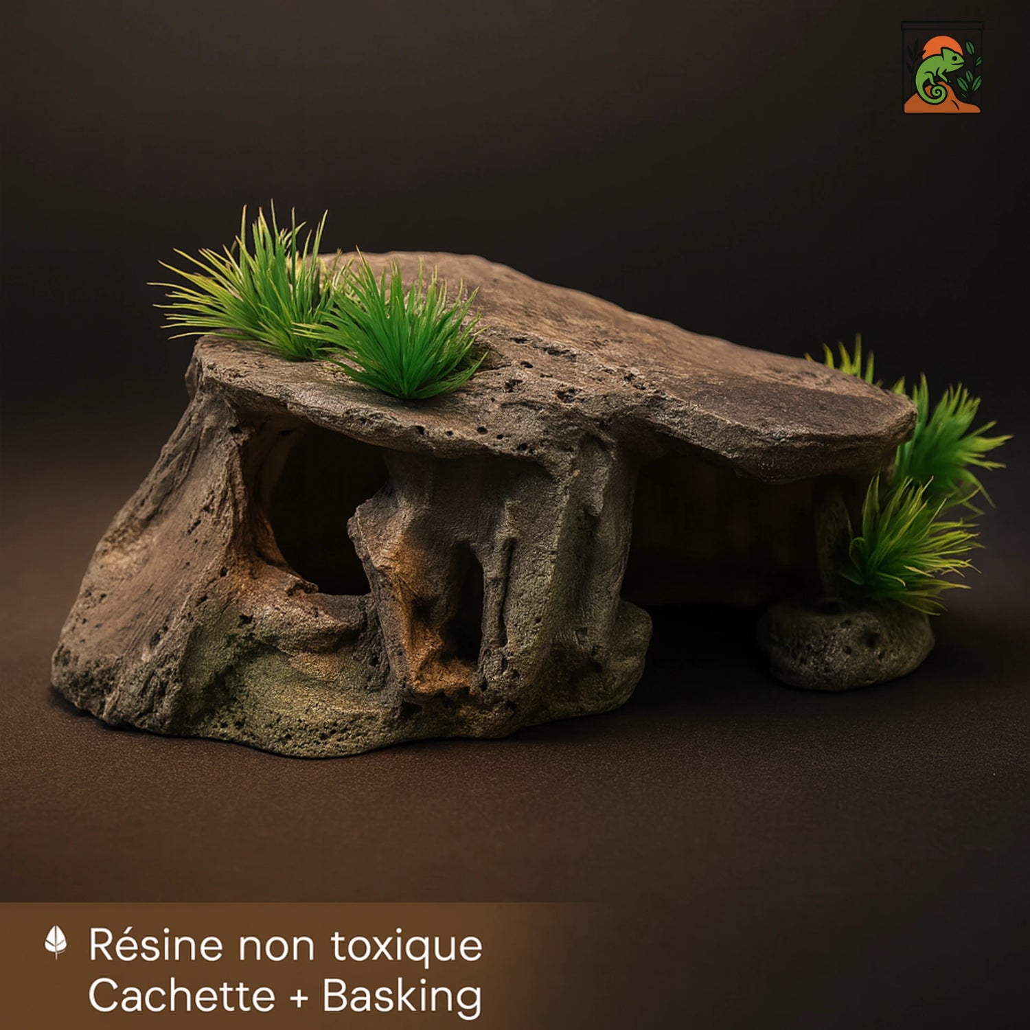 Cachette Terrarium pour Reptiles & Tortues – Résine Naturelle Haute Qualité 