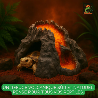 Cachette Volcanique en Résine pour Terrarium – Abri pour Reptiles 