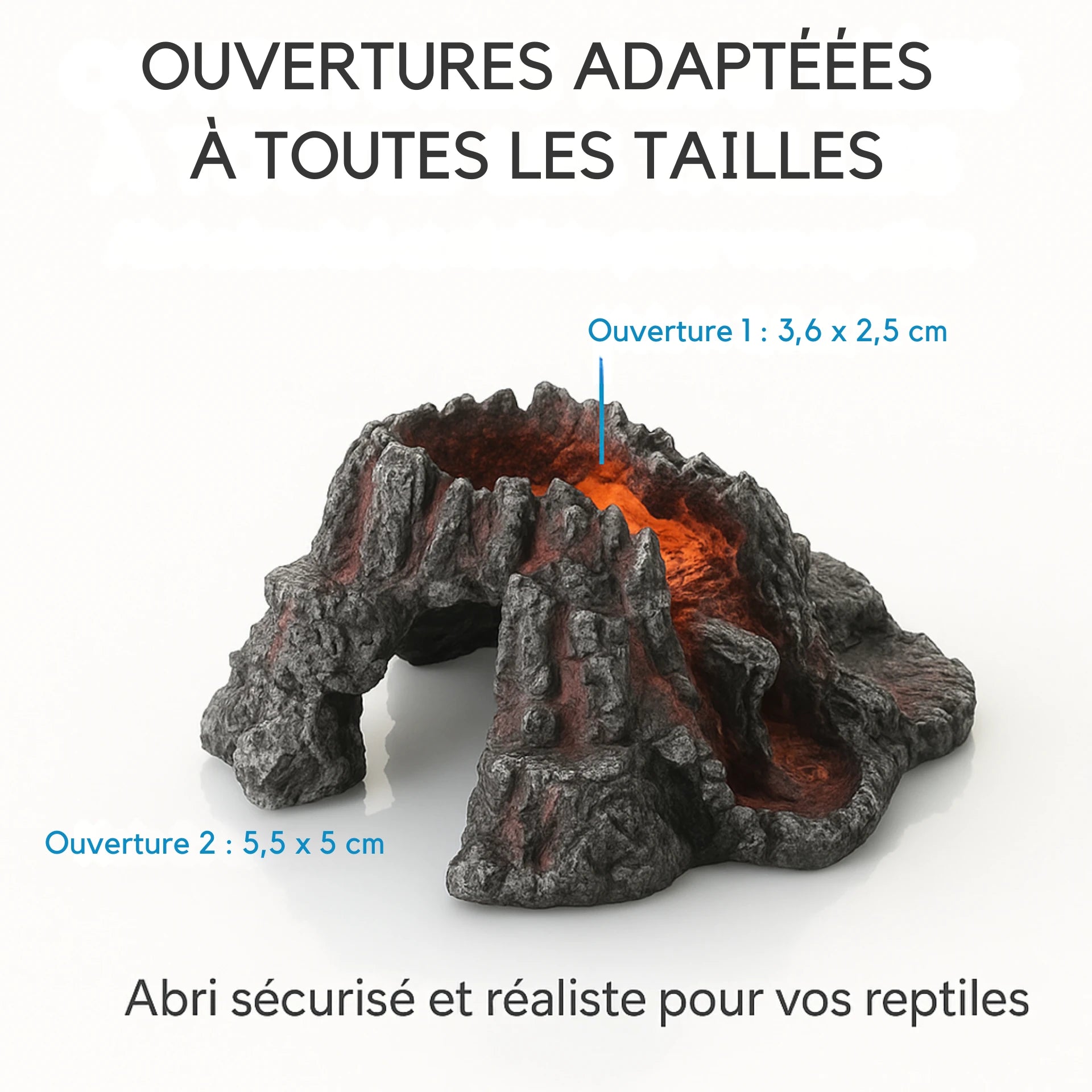 Gamelle en Résine pour Terrarium 