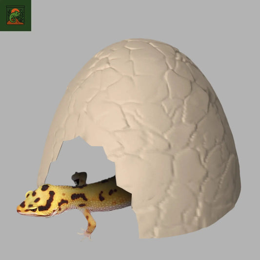 Cachette pour reptile - Terrarium 