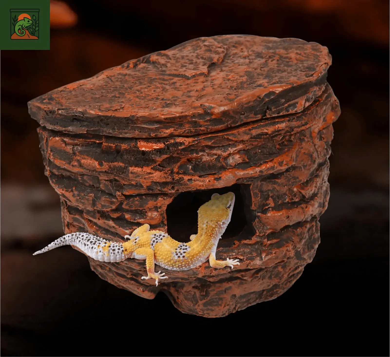 Cachette en Roche pour Reptiles - Décoration de Terrarium - LeTerrarium