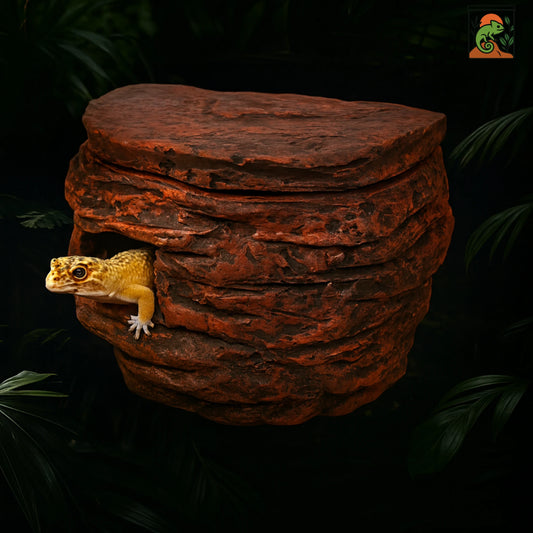 Cachette en Roche pour Terrarium – Abri Suspendu 