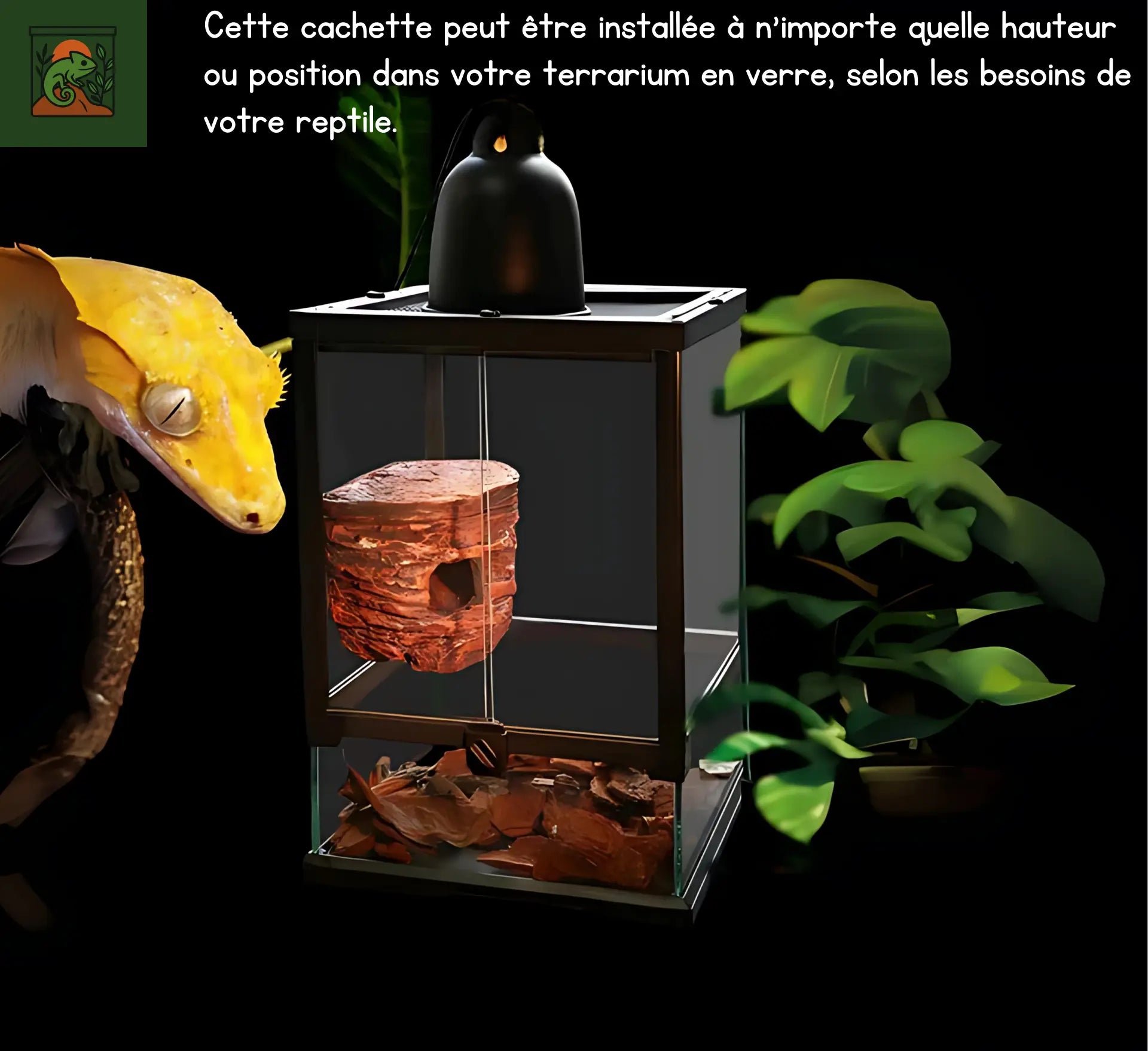 Cachette en Roche pour Terrarium – Abri Suspendu pour Réptiles 