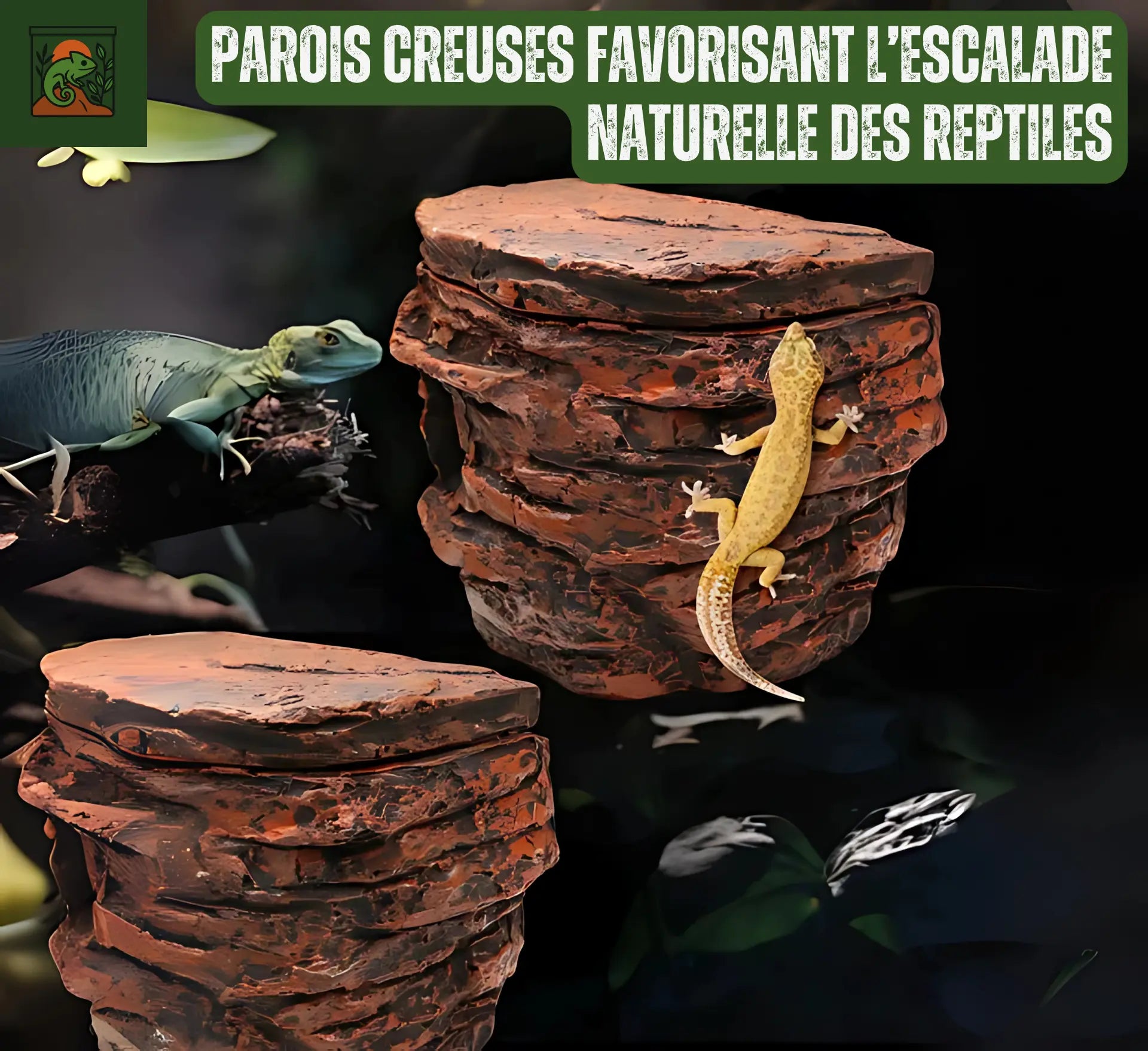 Cachette en Roche pour Terrarium – Abri Suspendu pour Réptiles 
