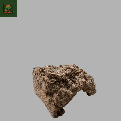 Cachette pour Terrarium – Grotte Décorative - LeTerrarium