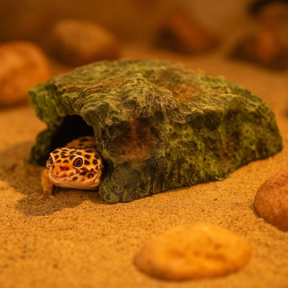 Cachette pour Terrarium – Résine Naturelle Haute Qualité 