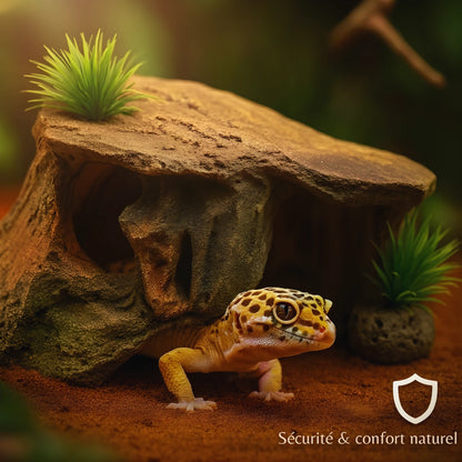 Cachette pour Terrarium – Résine Naturelle Haute Qualité 