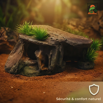 Cachette pour Terrarium – Résine Naturelle Haute Qualité 