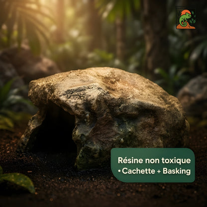 Cachette pour Terrarium – Résine Naturelle Haute Qualité 