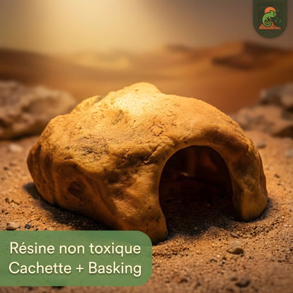 Cachette pour Terrarium – Résine Naturelle Haute Qualité 