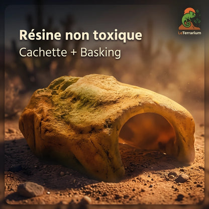 Cachette pour Terrarium – Résine Naturelle Haute Qualité 