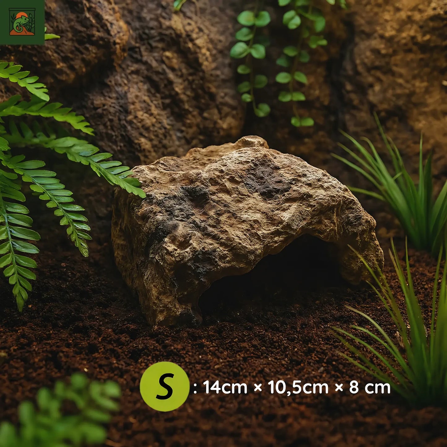 Cachette spéciale pour Terrarium – Grotte en Résine Réaliste 