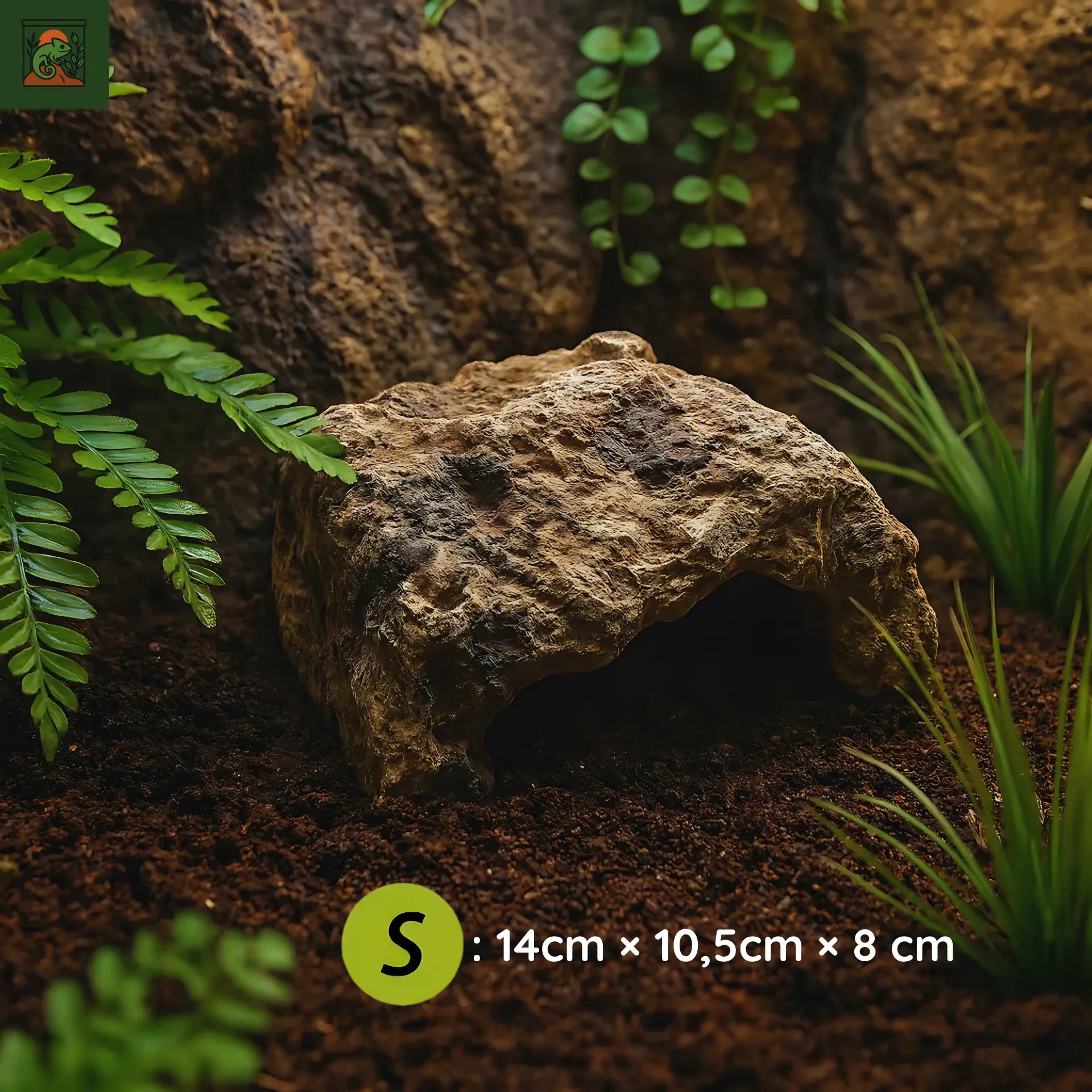 Cachette spéciale pour Terrarium – Grotte en Résine Réaliste 