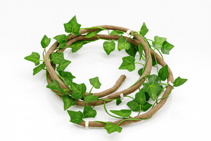 Liane pour Terrarium avec Ventouses 