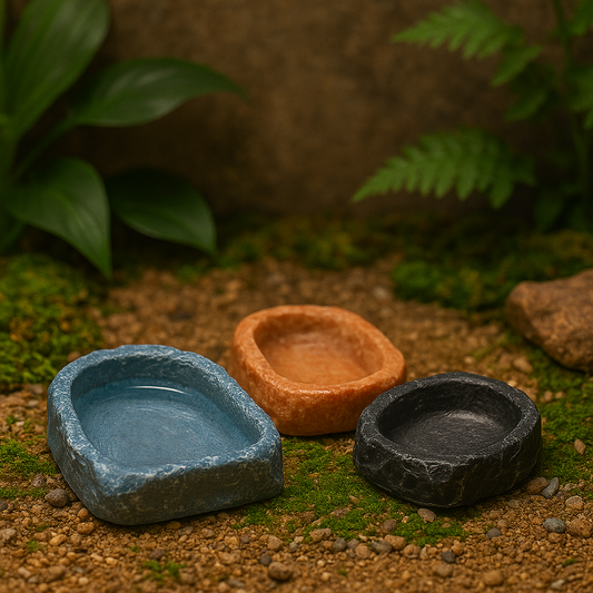 Gamelle en Résine pour Terrarium 