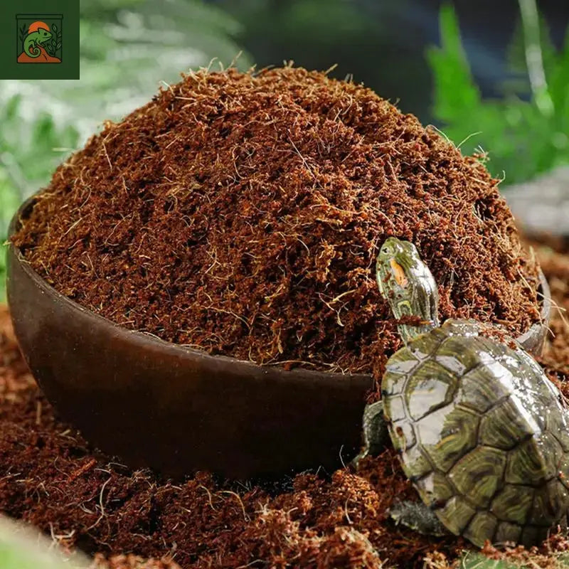 Coco Coir – substrat en Fiber de Coco compressé, literie serpent, accessoires de réservoir de Reptile, pavage pour Geckos, tortues, grenouilles 