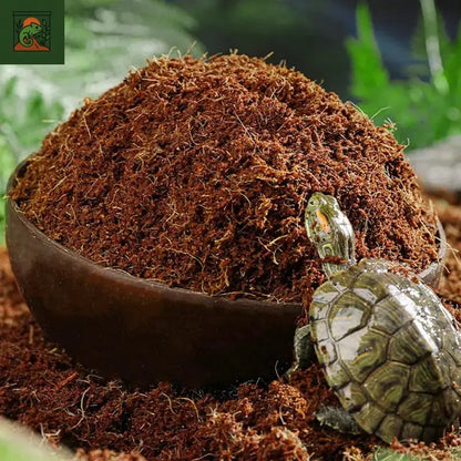 Coco Coir – substrat en Fiber de Coco compressé, literie serpent, accessoires de réservoir de Reptile, pavage pour Geckos, tortues, grenouilles 