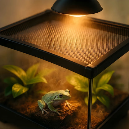Couvercle pour Terrarium