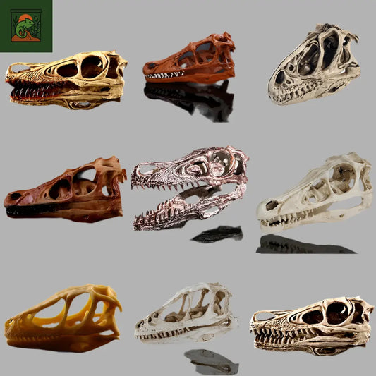 Crâne de Dinosaure en Résine – Statue Fossile Décorative pour Terrarium 