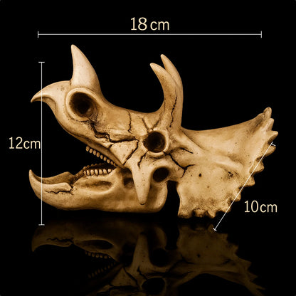 Crâne de Dinosaure en Résine pour Terrarium – Déco Fossile 