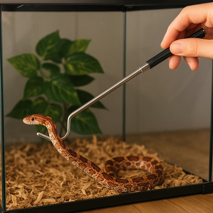 Crochet de Capture de Serpent Rétractable Terrarium 