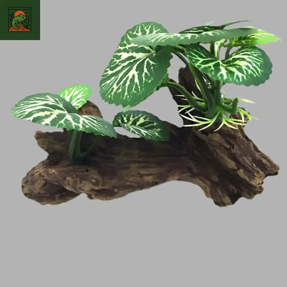 Décoration  Terrarium – Tronc d’Arbre et Racines Artificielles pour Reptiles - LeTerrarium